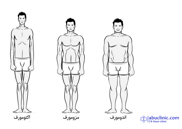 شکل های مختلف بدن و تغذیه مناسب آن (1)